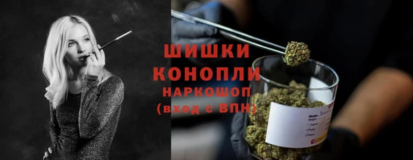 PSILOCYBIN Аркадак