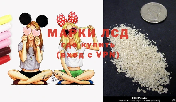 PSILOCYBIN Аркадак