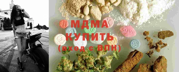 PSILOCYBIN Аркадак