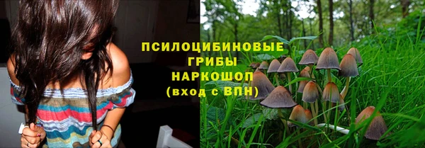 синтетический гашиш Карпинск